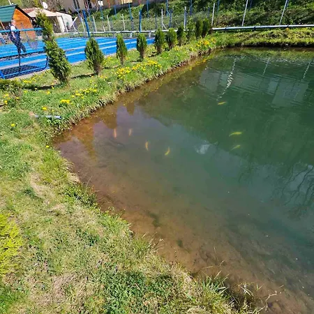 Prenociste Vranjska Banja